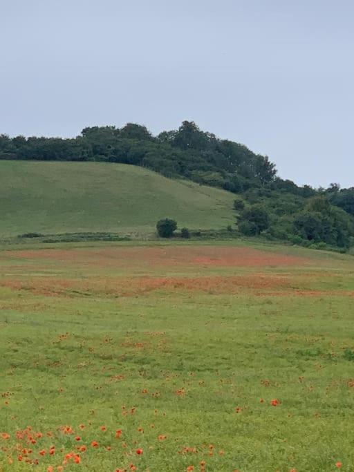 Romantic Shepherds Hut With Stunning Sunsets Hollingbourne المظهر الخارجي الصورة