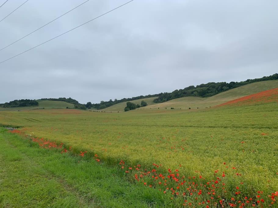 Romantic Shepherds Hut With Stunning Sunsets Hollingbourne المظهر الخارجي الصورة